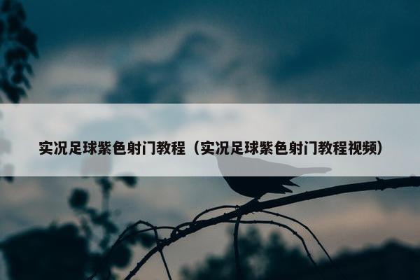 实况足球紫色射门教程（实况足球紫色射门教程视频）