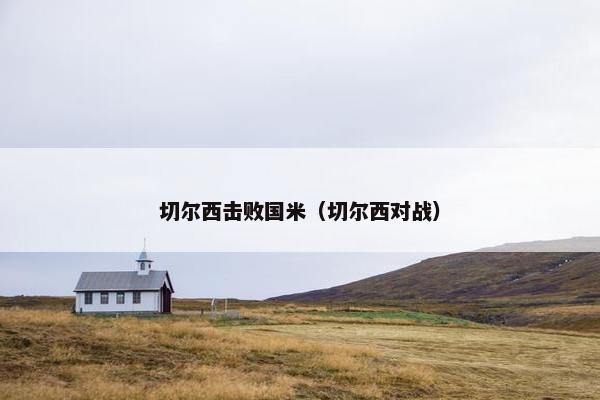 切尔西击败国米（切尔西对战）