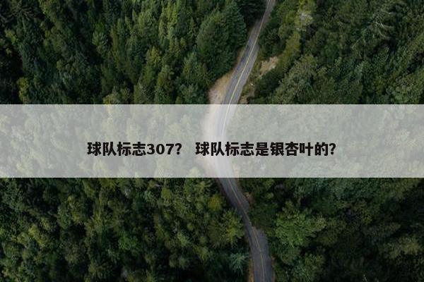 球队标志307？ 球队标志是银杏叶的？