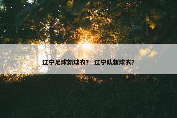 辽宁足球新球衣？ 辽宁队新球衣？