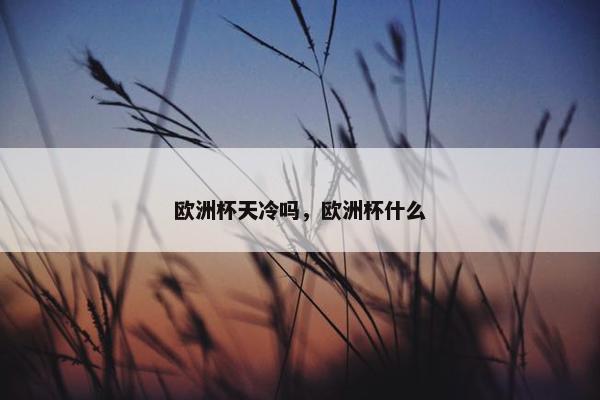 欧洲杯天冷吗，欧洲杯什么