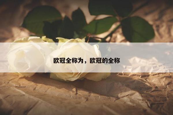 欧冠全称为，欧冠的全称