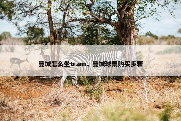 曼城怎么坐tram，曼城球票购买步骤