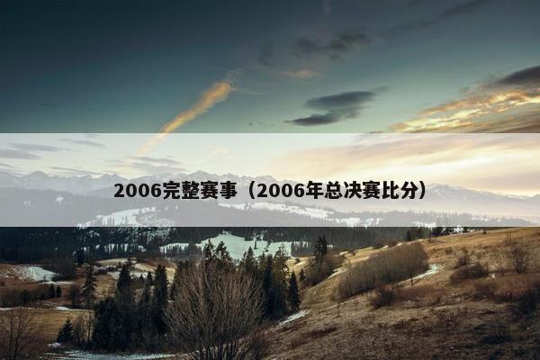 2006完整赛事（2006年总决赛比分）