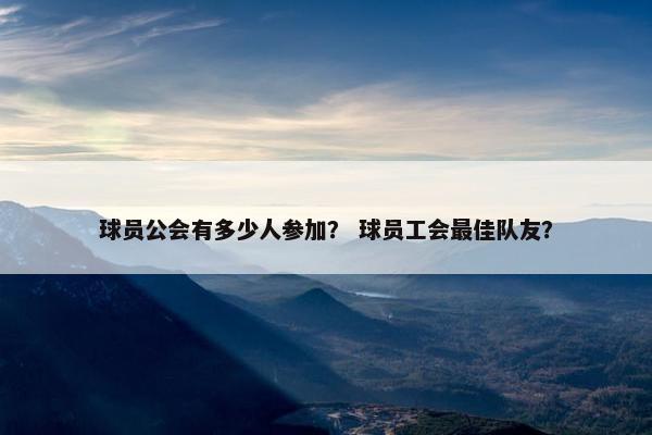 球员公会有多少人参加？ 球员工会最佳队友？