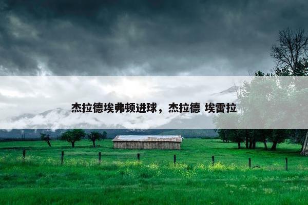 杰拉德埃弗顿进球，杰拉德 埃雷拉