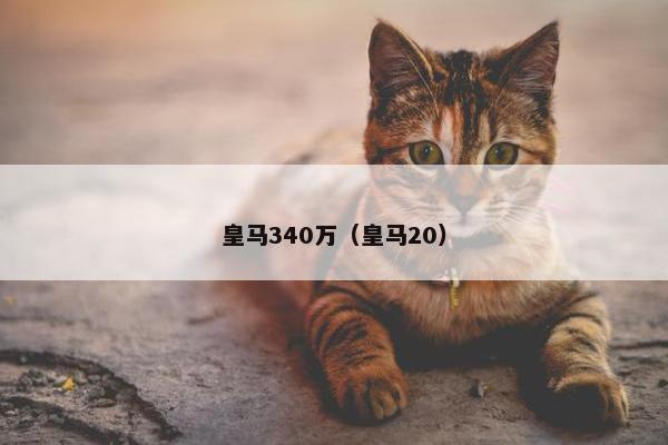 皇马340万（皇马20）