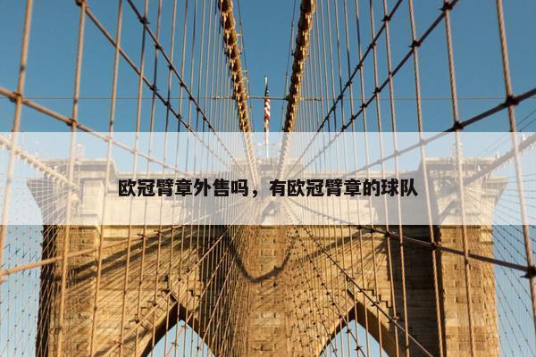 欧冠臂章外售吗，有欧冠臂章的球队