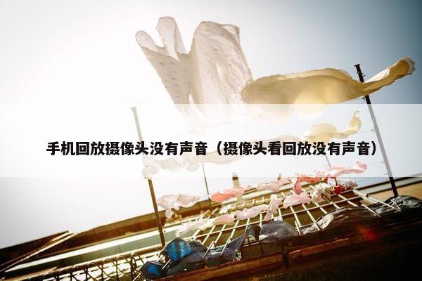 手机回放摄像头没有声音（摄像头看回放没有声音）