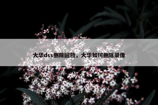 大华dss删除回放，大华如何删除录像