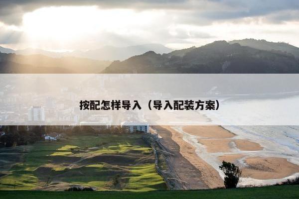 按配怎样导入（导入配装方案）