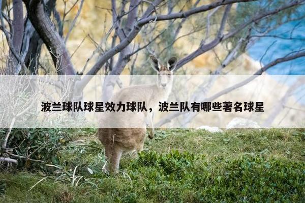 波兰球队球星效力球队，波兰队有哪些著名球星