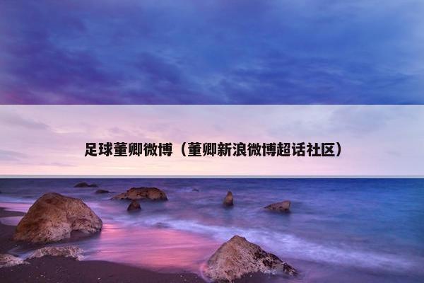 足球董卿微博（董卿新浪微博超话社区）
