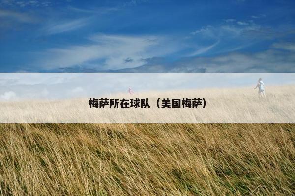 梅萨所在球队（美国梅萨）