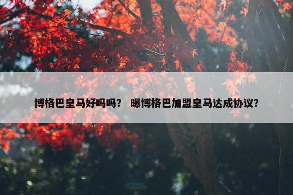 博格巴皇马好吗吗？ 曝博格巴加盟皇马达成协议？