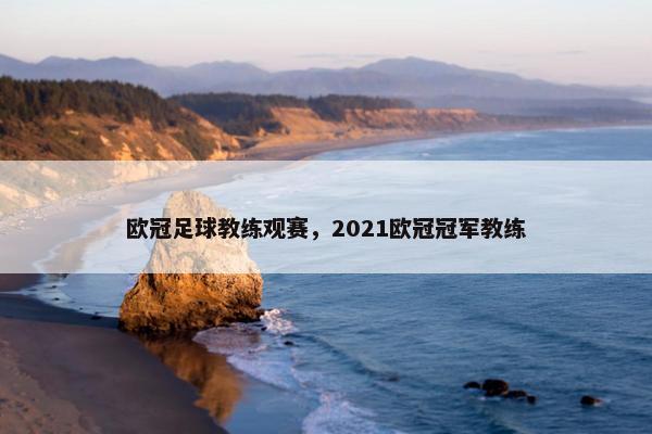 欧冠足球教练观赛，2021欧冠冠军教练