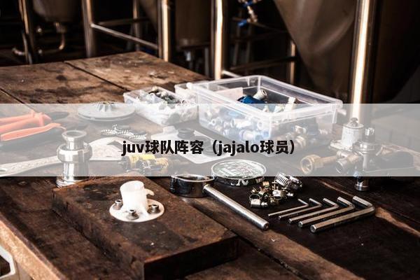 juv球队阵容（jajalo球员）