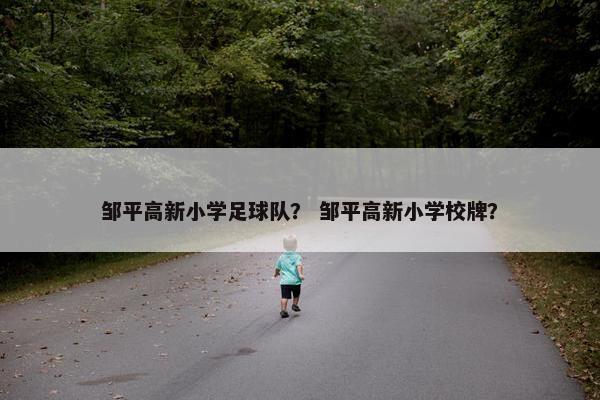 邹平高新小学足球队？ 邹平高新小学校牌？