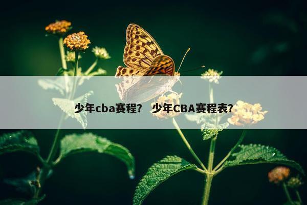 少年cba赛程？ 少年CBA赛程表？