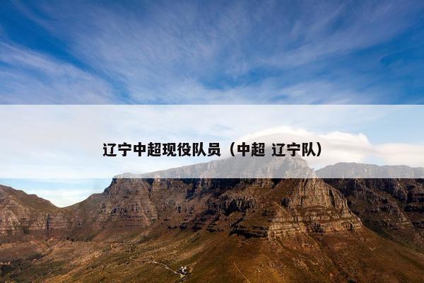辽宁中超现役队员（中超 辽宁队）