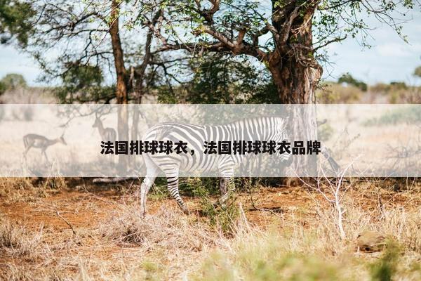 法国排球球衣，法国排球球衣品牌