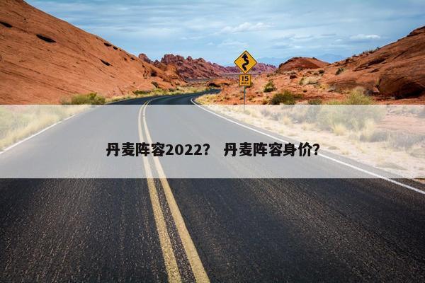 丹麦阵容2022？ 丹麦阵容身价？