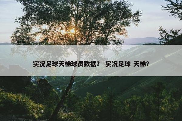 实况足球天梯球员数据？ 实况足球 天梯？