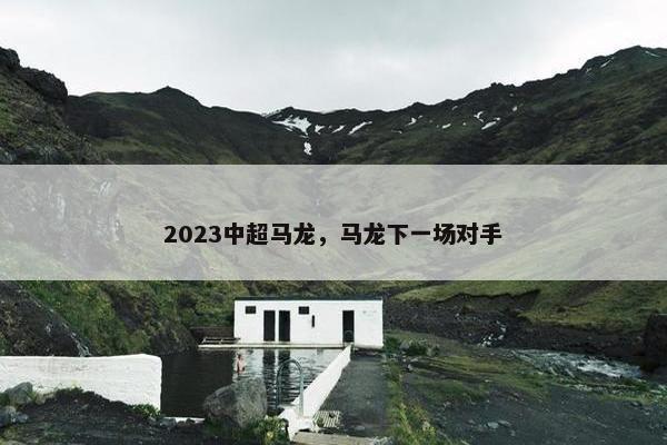 2023中超马龙，马龙下一场对手