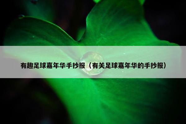 有趣足球嘉年华手抄报（有关足球嘉年华的手抄报）