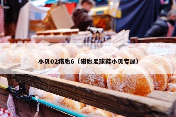 小贝02猎鹰6（猎鹰足球鞋小贝专属）