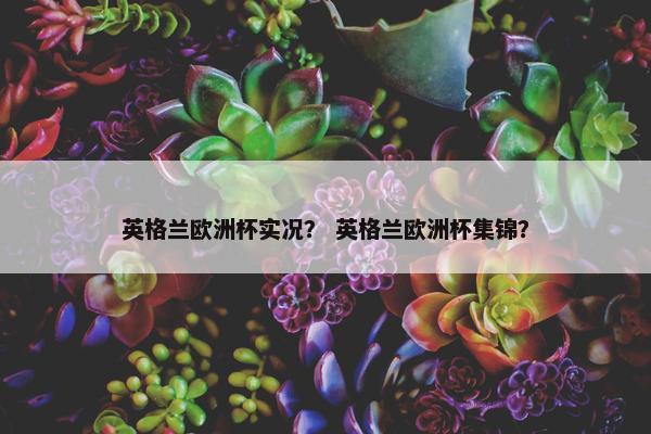 英格兰欧洲杯实况？ 英格兰欧洲杯集锦？