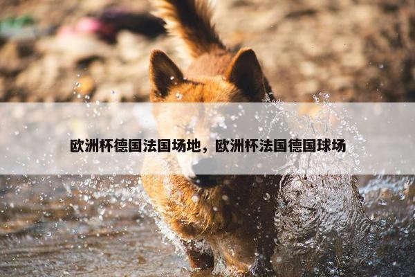 欧洲杯德国法国场地，欧洲杯法国德国球场