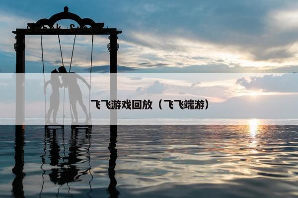 飞飞游戏回放（飞飞端游）