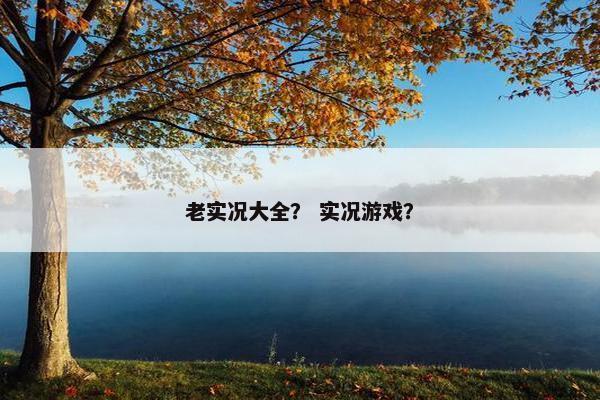 老实况大全？ 实况游戏？