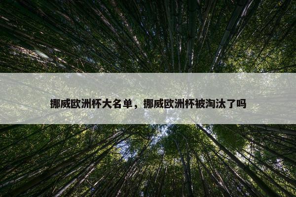 挪威欧洲杯大名单，挪威欧洲杯被淘汰了吗