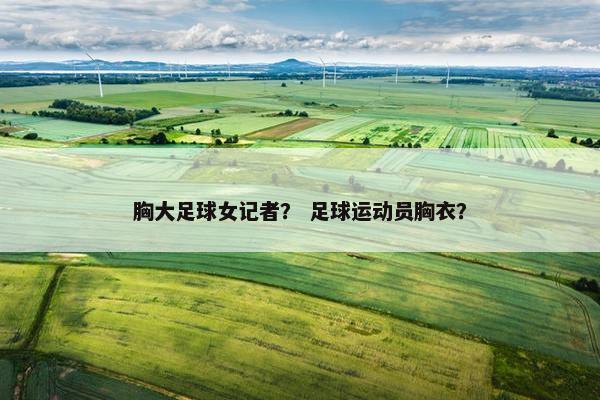 胸大足球女记者？ 足球运动员胸衣？