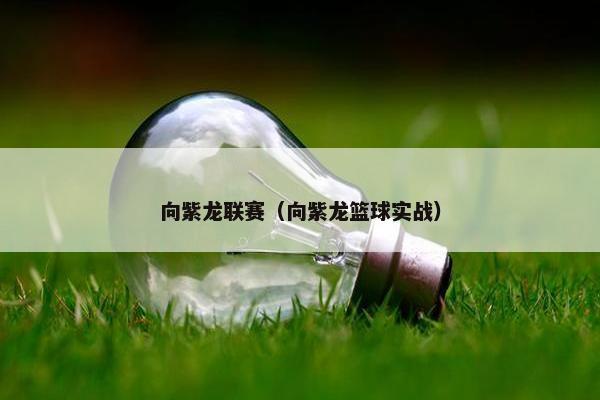 向紫龙联赛（向紫龙篮球实战）