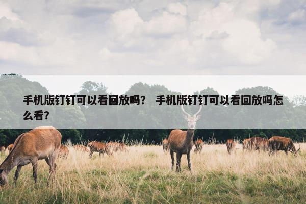 手机版钉钉可以看回放吗？ 手机版钉钉可以看回放吗怎么看？