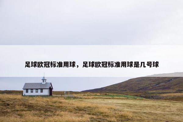 足球欧冠标准用球，足球欧冠标准用球是几号球