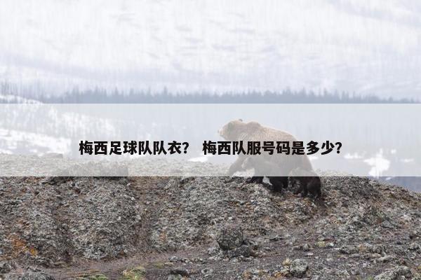 梅西足球队队衣？ 梅西队服号码是多少？