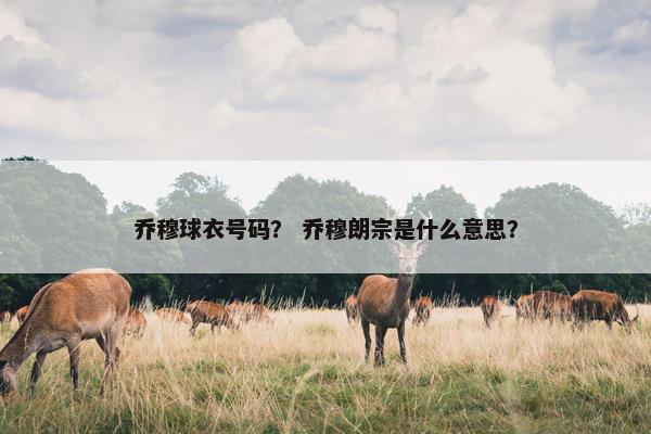 乔穆球衣号码？ 乔穆朗宗是什么意思？