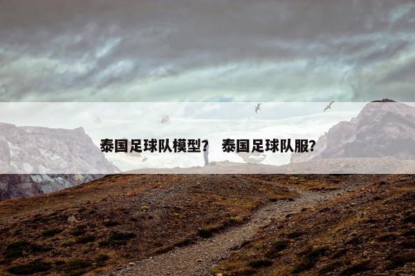 泰国足球队模型？ 泰国足球队服？