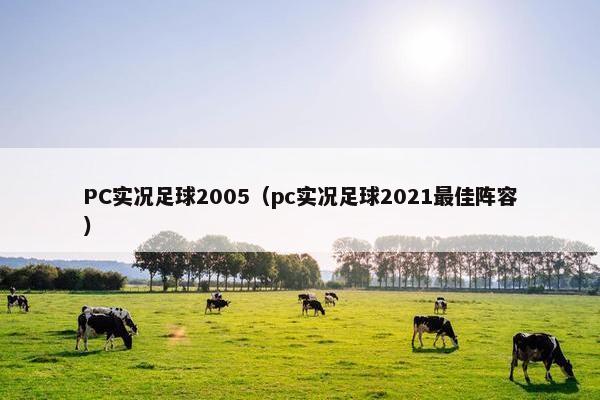 PC实况足球2005（pc实况足球2021最佳阵容）