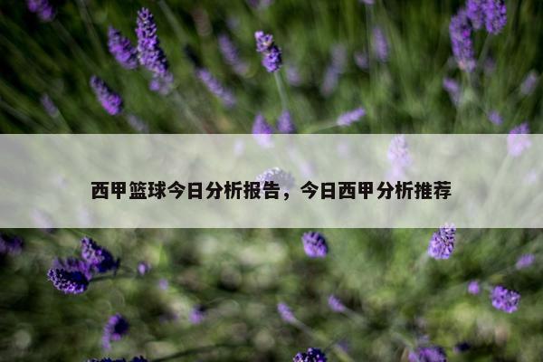西甲篮球今日分析报告，今日西甲分析推荐