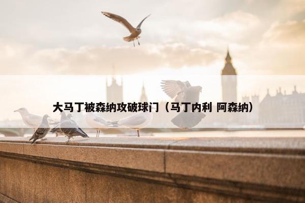 大马丁被森纳攻破球门(马丁内利 阿森纳) 大马丁被森纳攻破球门(马丁内利 阿森纳)