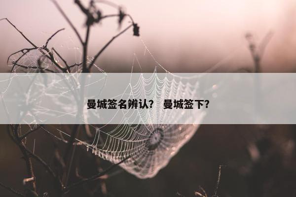 曼城签名辨认？ 曼城签下？