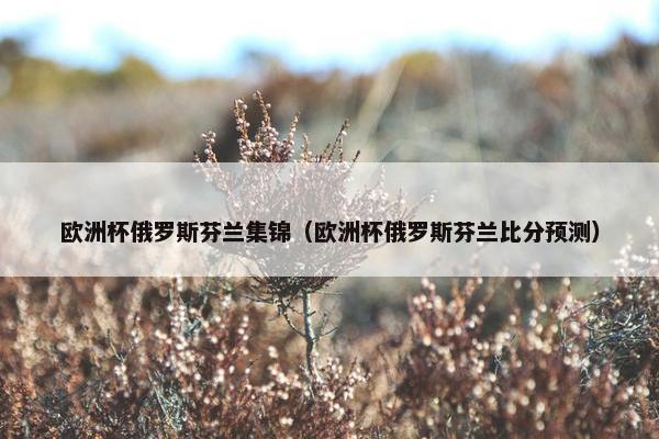 欧洲杯俄罗斯芬兰集锦（欧洲杯俄罗斯芬兰比分预测）