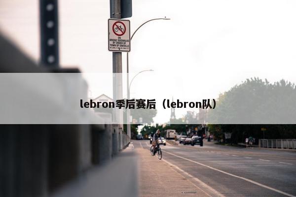 lebron季后赛后（lebron队）