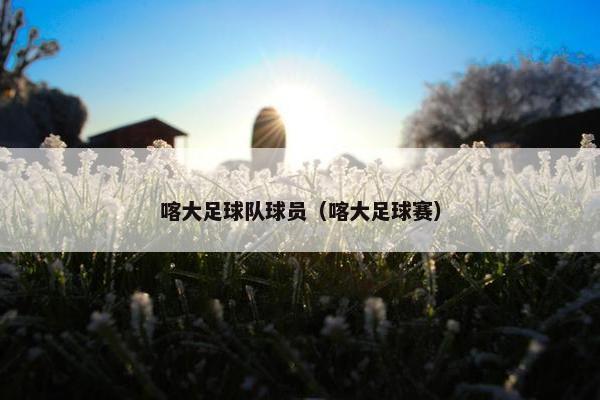 喀大足球队球员（喀大足球赛）