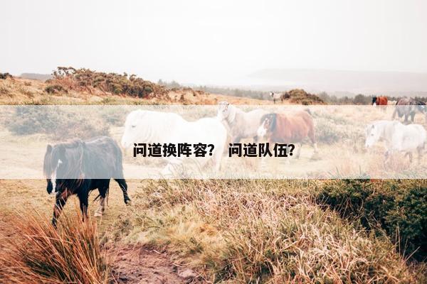 问道换阵容？ 问道队伍？